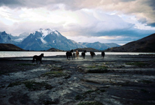 Chile-Patagonia / Torres del Paine-Torres del Paine - Blue Ice Ride/Kayak Combo